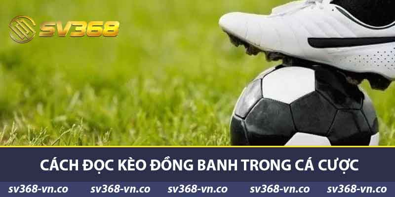 Kèo Đồng Banh SV368 - Khám Phá Thế Giới Cá Cược Thú Vị 2 Cách đọc kèo đồng banh trong cá cược